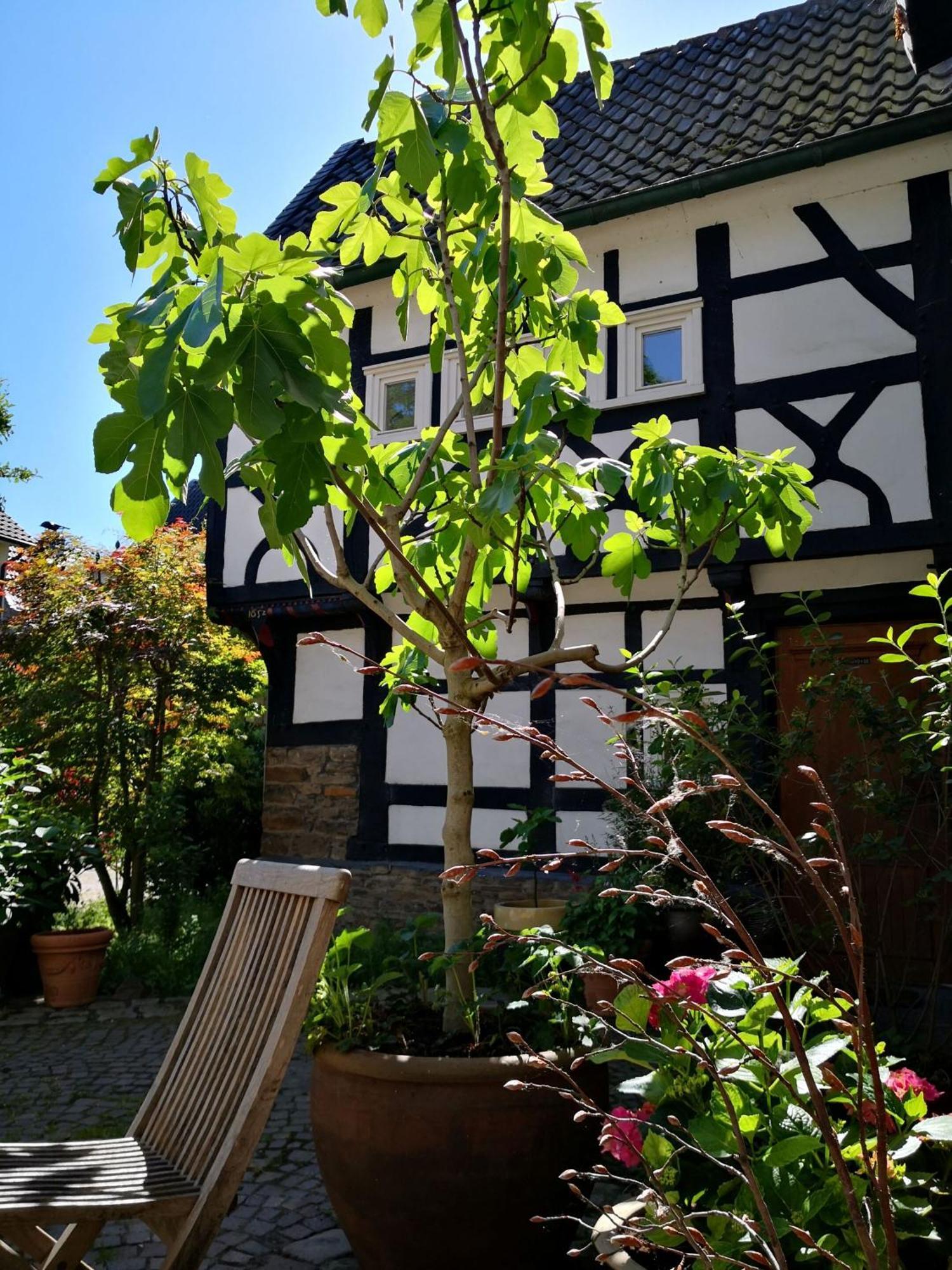 Fuenf Giebel Eck In Der Freiheit Am Ruhrtalradweg Hotel Wetter  Exterior foto